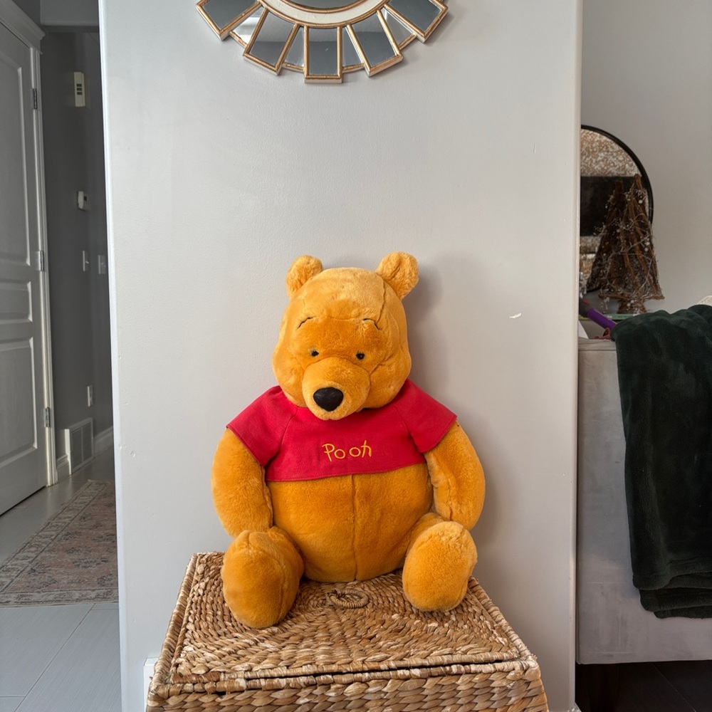 Winnie the Pooh Plush Toy